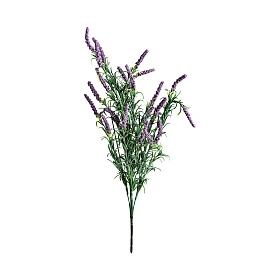 Цветок LAVANDA