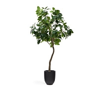 Ficus Искусственное дерево фикус в черном горшке 210 см