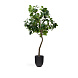 Ficus Искусственное дерево фикус в черном горшке 210 см