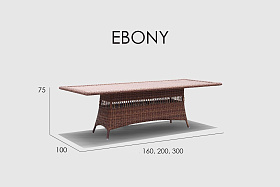 Обеденный стол Ebony RED PULUT 300х100